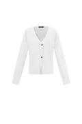 Viscose Gebreide Vrouwen Cardigan Casual Solide Kleur Herfst/Winter