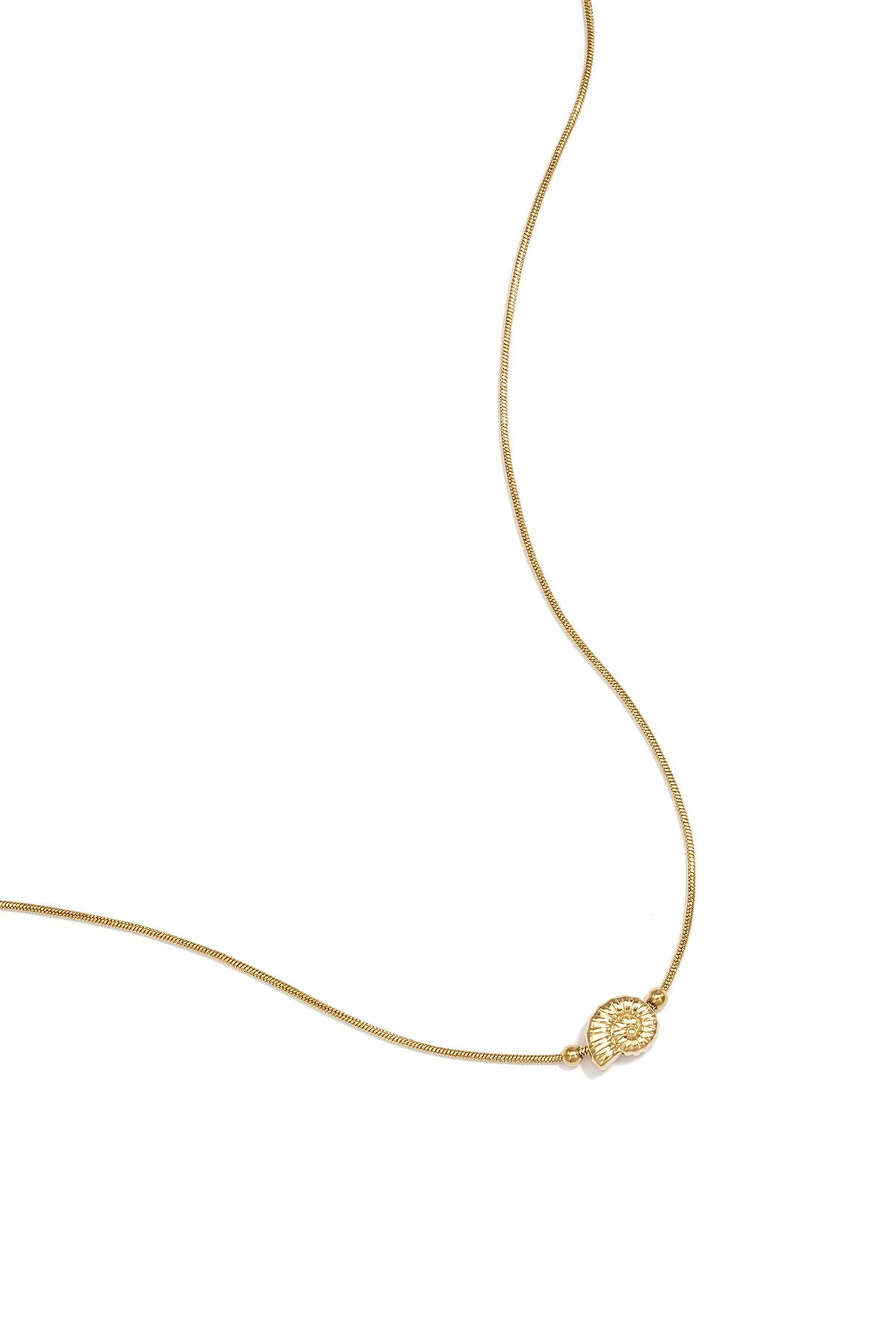 Minimalistische ketting met spiraalschelpje
