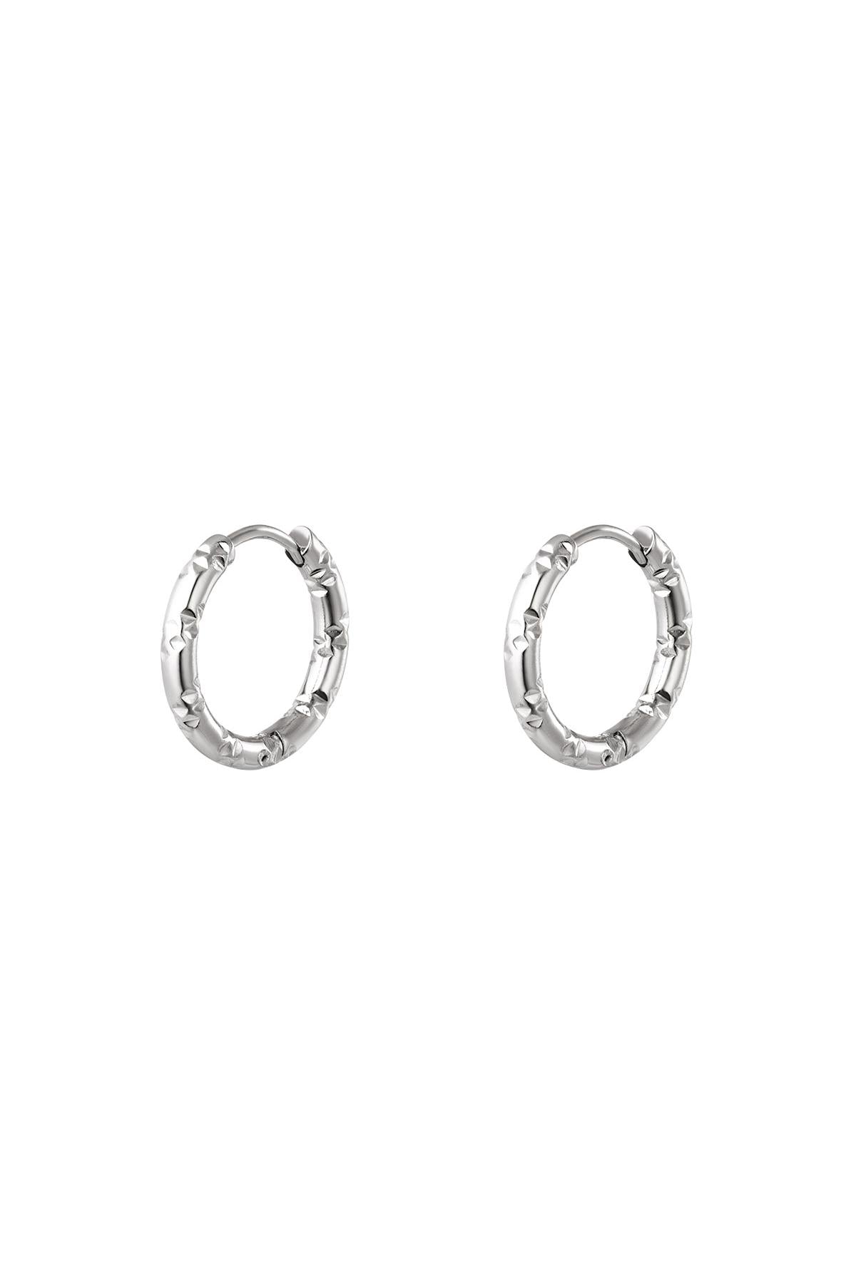 Oorringen van roestvrij staal Stainless Steel