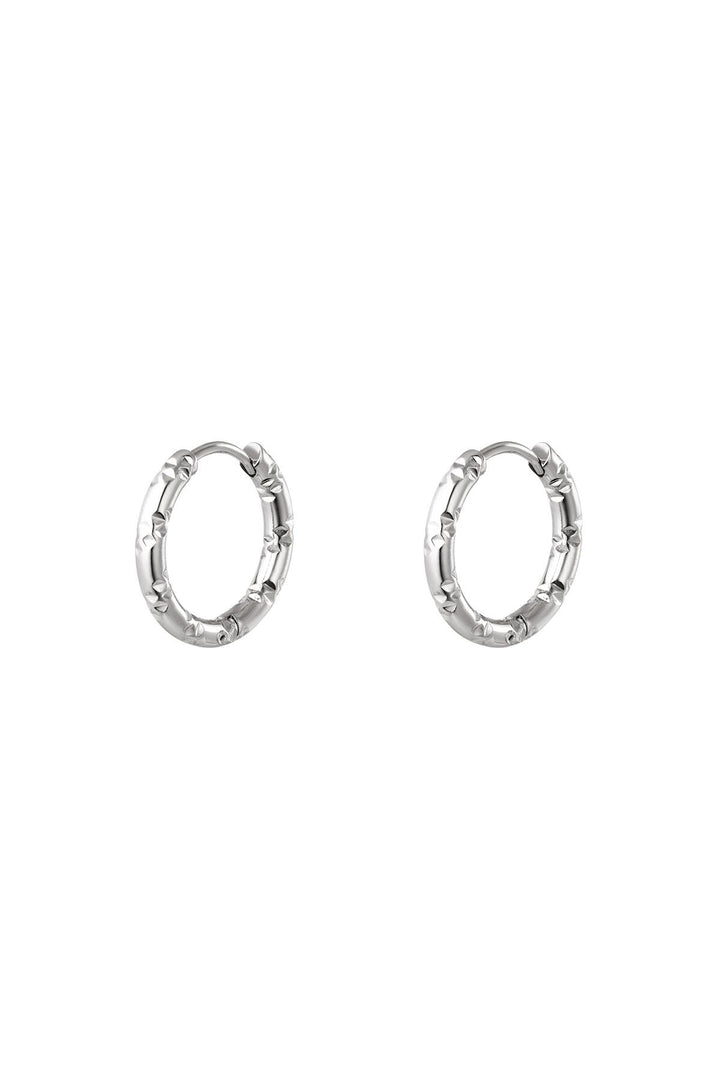 Oorringen van roestvrij staal Stainless Steel