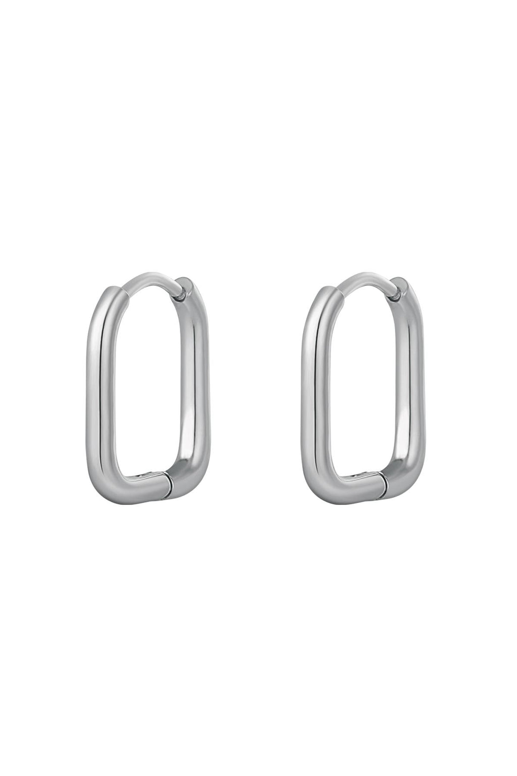 Oorbellen klassiek - large Zilver Stainless Steel