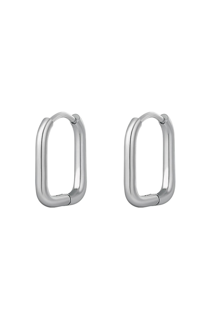 Oorbellen klassiek - large Zilver Stainless Steel