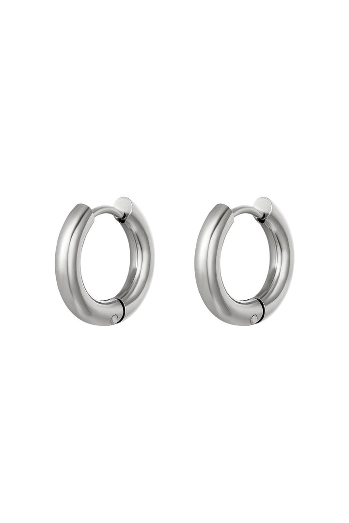 Basic creolen oorbellen - klein Goud kleur Stainless Steel