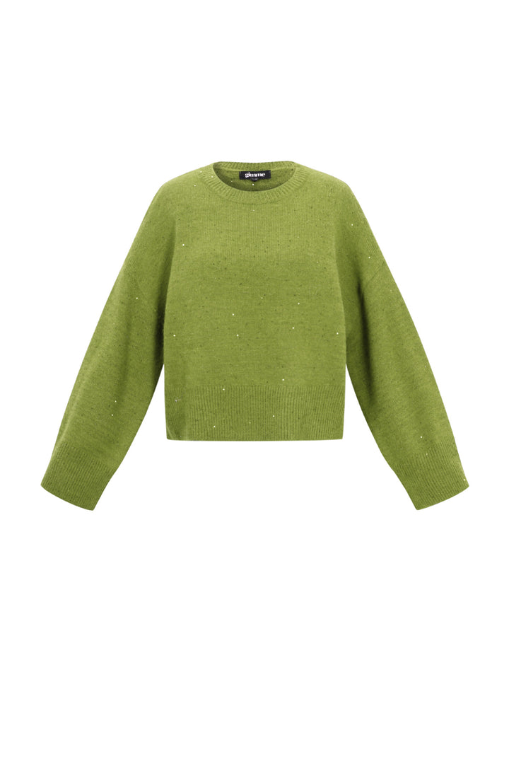 Gebreide Polyestervezel Vrouwen Truien Casual Effen Kleur Herfst/Winter