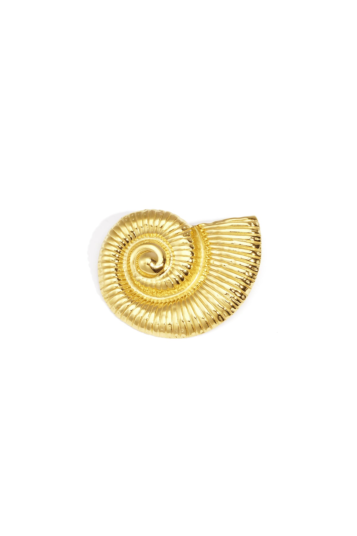 Borche haarspeld met spiraalschelp