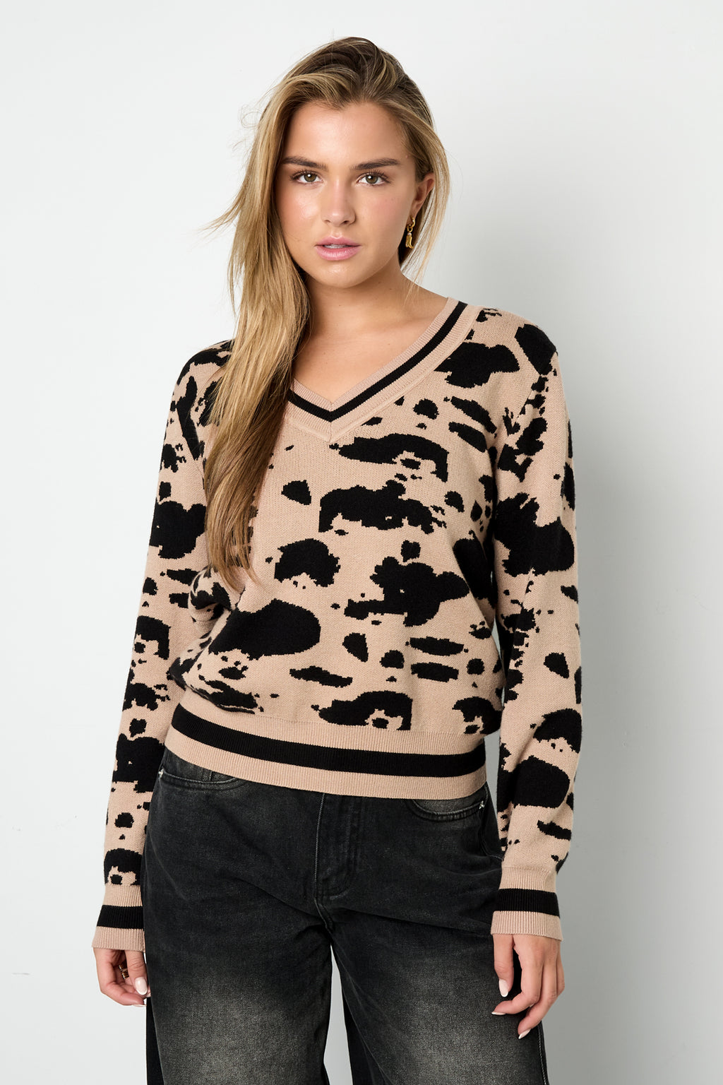 Gebreid (inclusief haakwerk en wolstof) Luipaardprint V-hals Trui voor Dames Herfst/Winter Casual