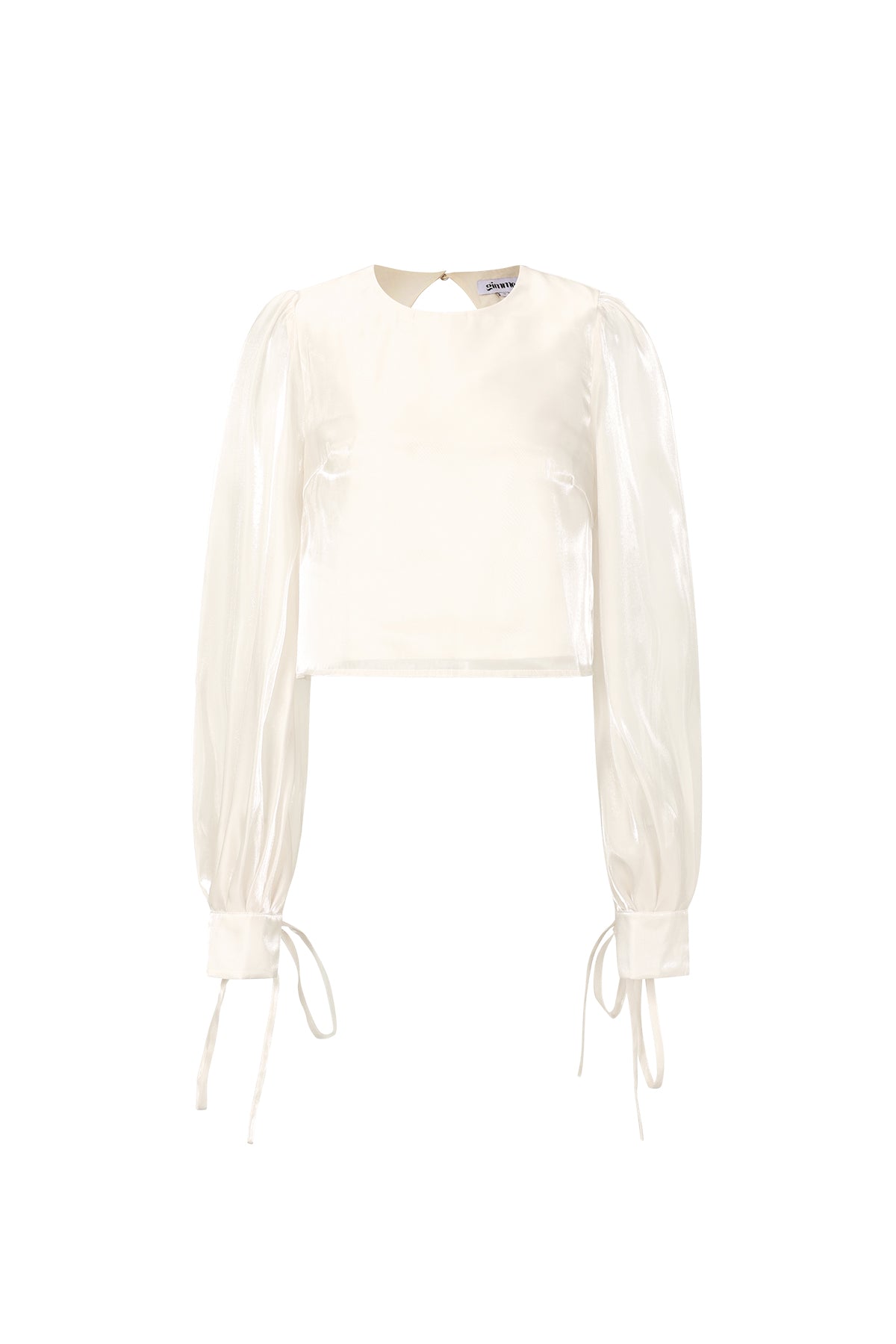 Glanzende parelblouse