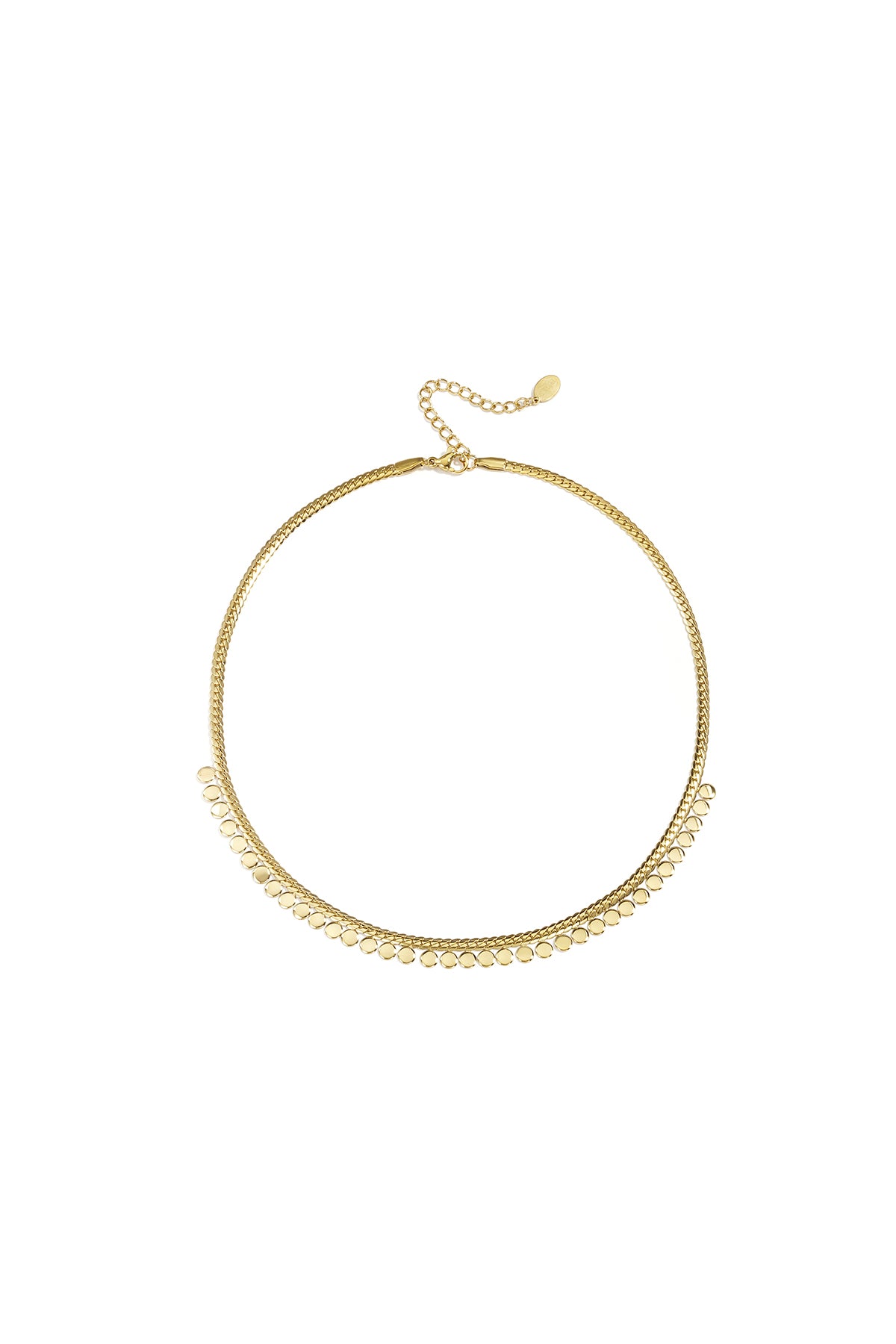 Ketting muntjes - Stainless Steel