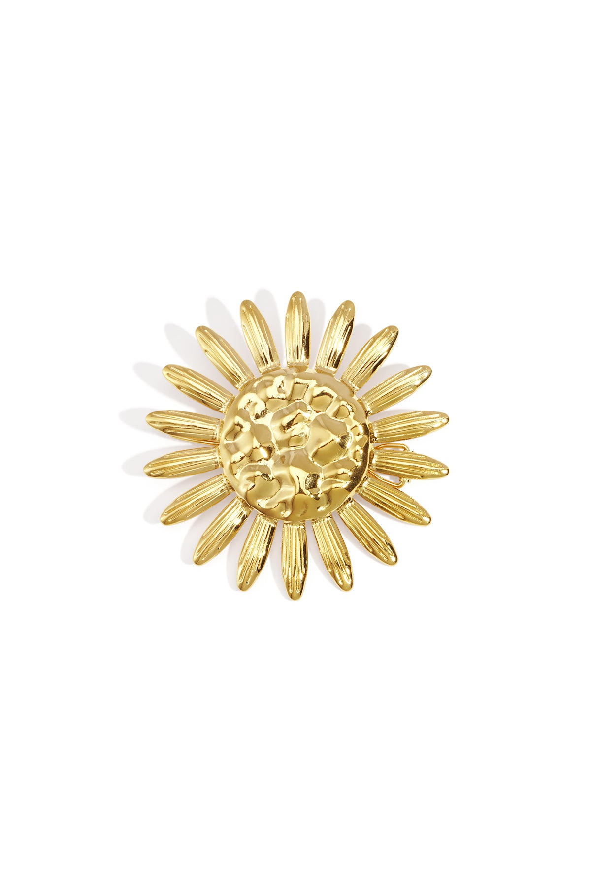 Roestvrijstalen broches Bloemen Casual Dagelijks Eenvoudig Serie Dames sieraden